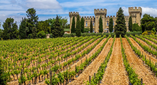 A Ramble down the Rhône with Linda Field