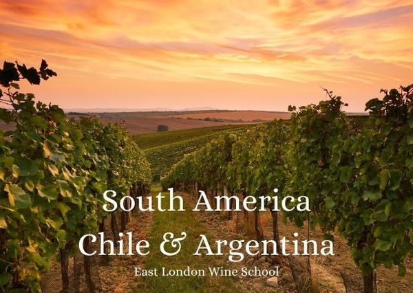 Wines of Chile and Argentina