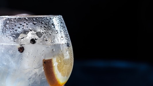 Gin Tasting - Colchester 