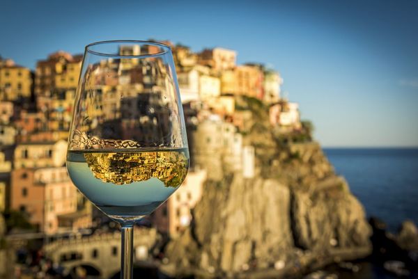 Explore Italian Wine