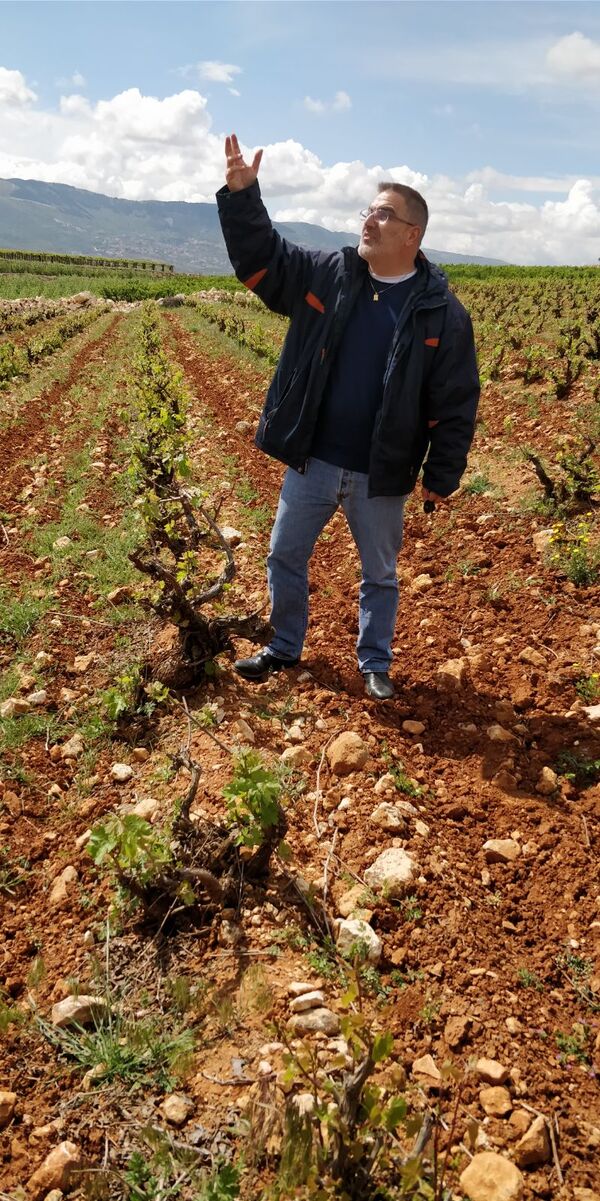 An Evening with Chateau Musar