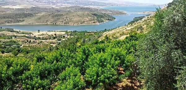 Wonderful Wines of Lebanon