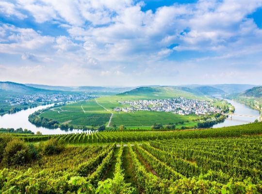 Wines of Germany, Austria and UK 