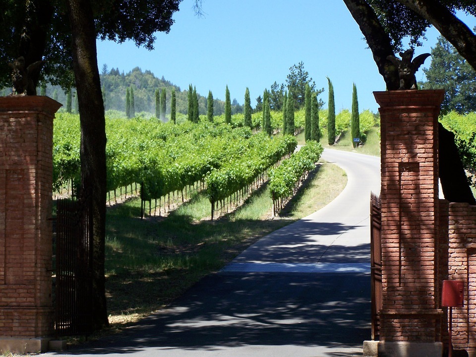 Wines of North America - Calfiornia and more