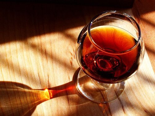 Fortify your Tuesdays - Online
