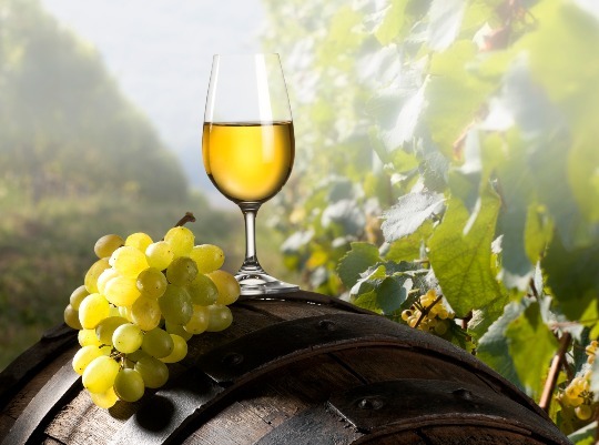 Introduction to White Wines