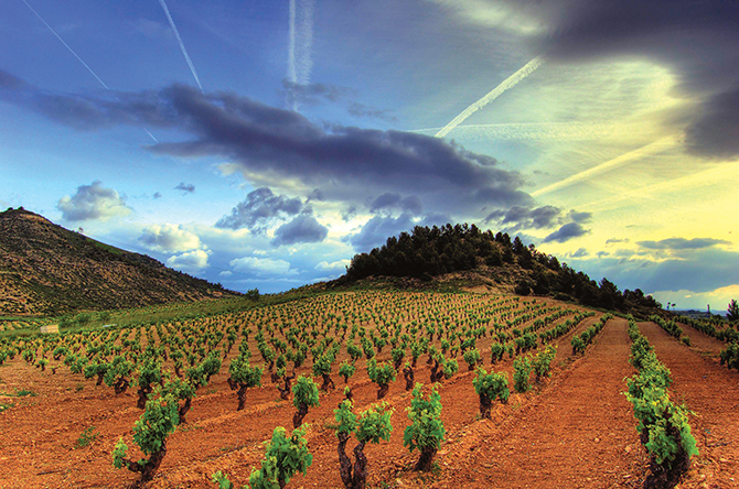 World of Wine - Spain & Portugal 