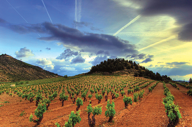 Fine Wine Tasting - Rioja