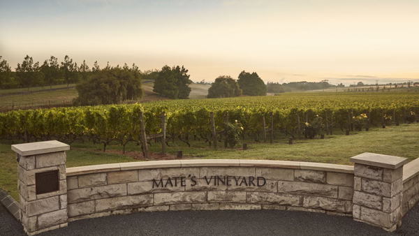 Online 2 wk course: C'mon Kumeu (River)