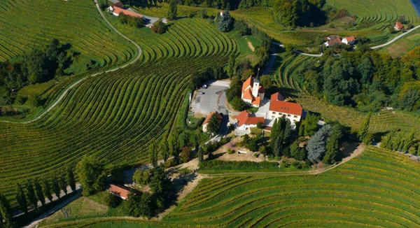 Wines of Slovenia