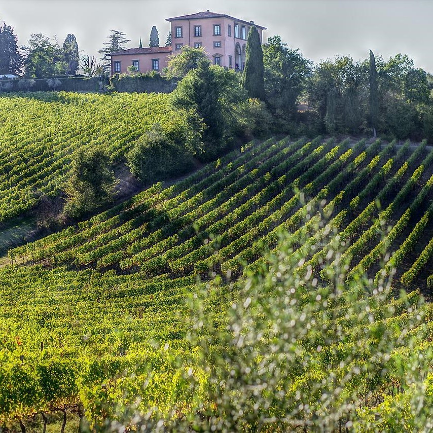 World of Wine - Discover the wines of Italy