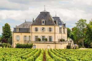 ONLINE: World of Wine - Burgundy & Loire