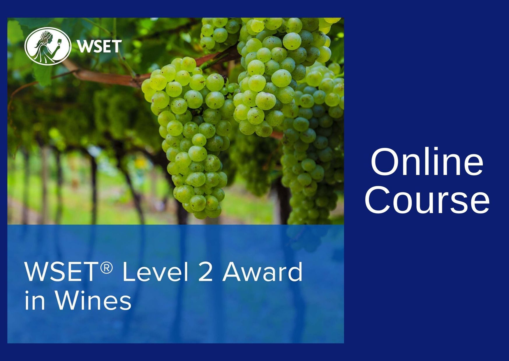 WSET Level 2 in Wines & Exam - Online - Afternoons