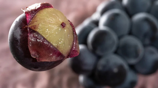  Under the Grape Skin Series  