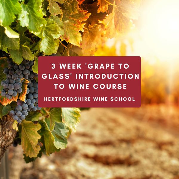  Grape to Glass - 3 Week Introduction to Wine Course            