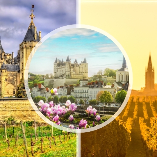  4-Week Course: Tour de France 