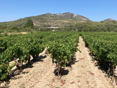 World of Wine - Eight Week Package     
