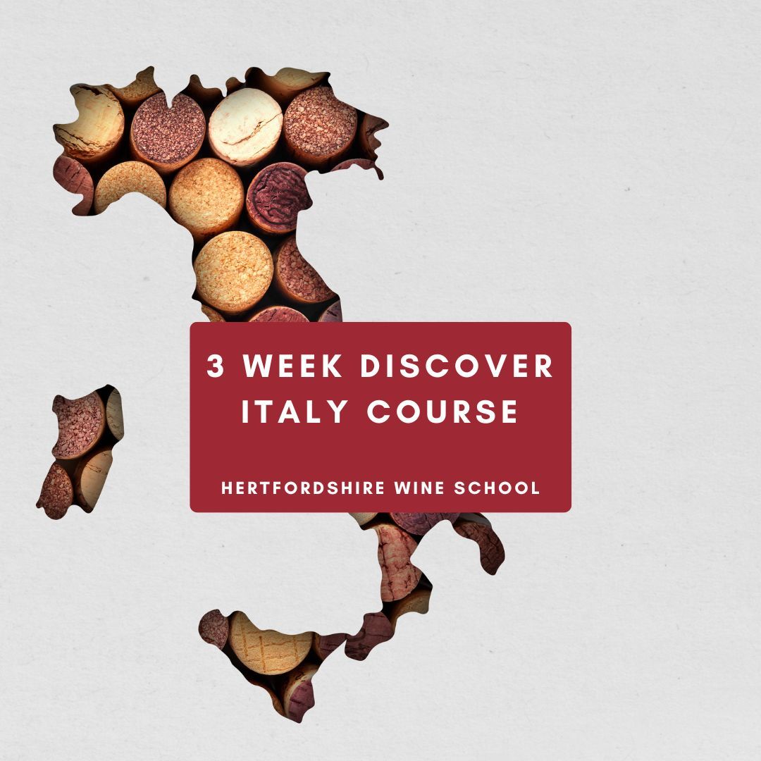 Discover Italian Wines - 3-week Course     