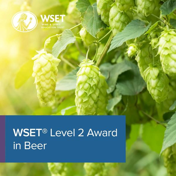 WSET L2 Award in Beer + Brewery Tour        