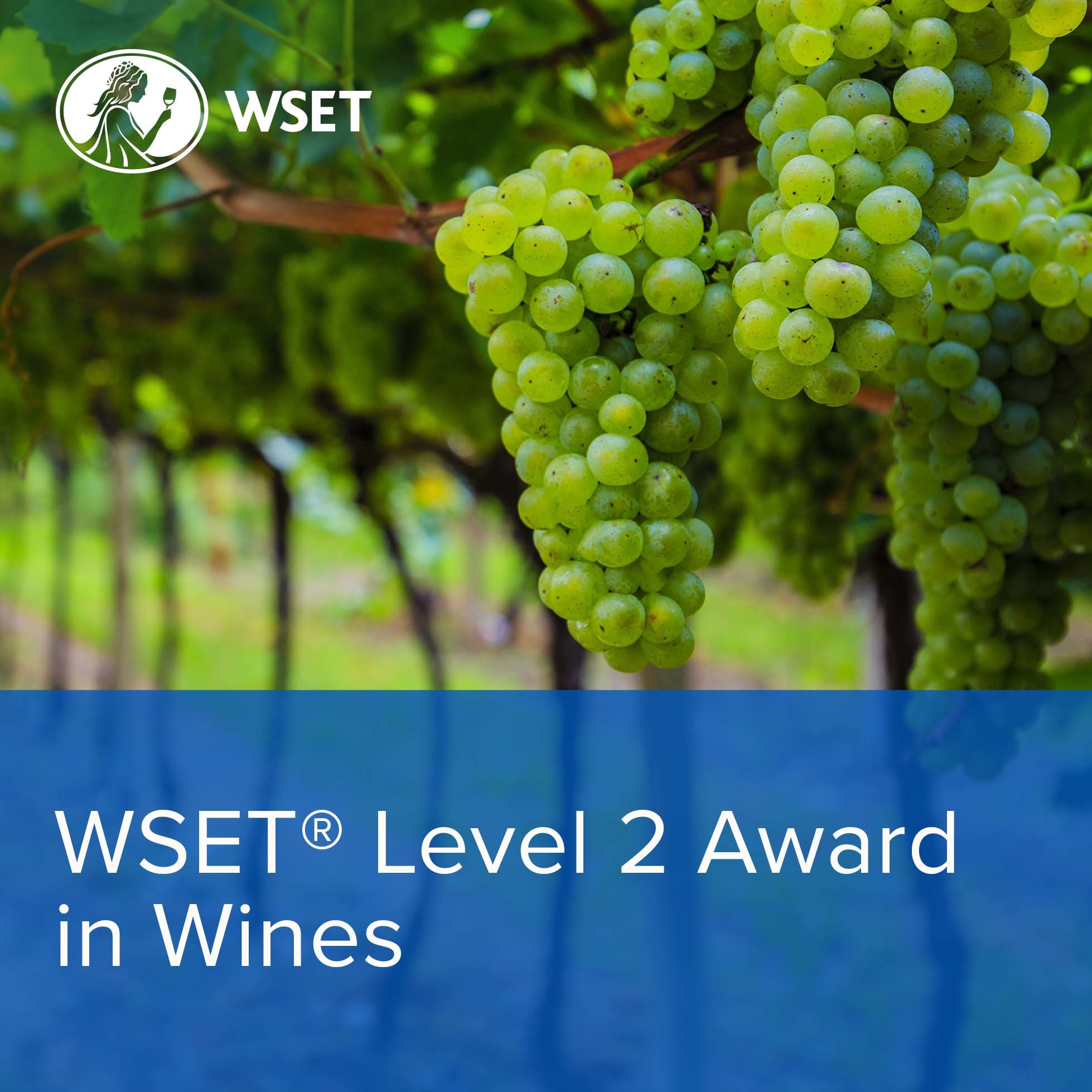  WSET Level 2 Award in Wines Course: Sunday Format (Classroom)    