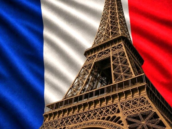 French Wine Explorer - Four Week Package  