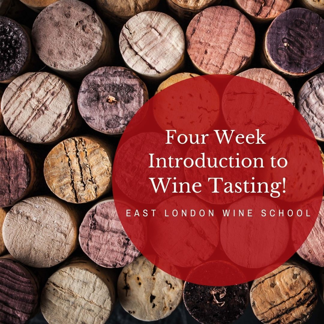 A Four Week Introduction to Wine Tasting (incl Champagne)