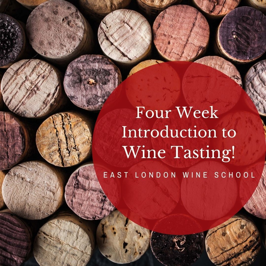  Four Week Introduction to Wine including Champagne!