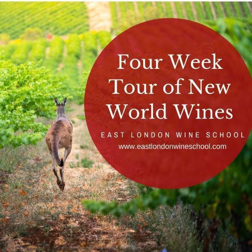  Four Week Tour New World Wines 