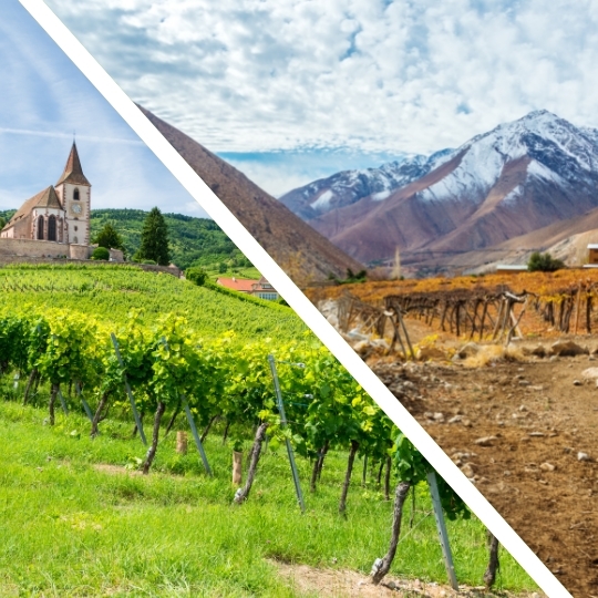 4-Week Course: France Vs New World