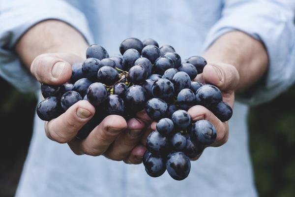 8-Week World of Wine Course by Grape Variety