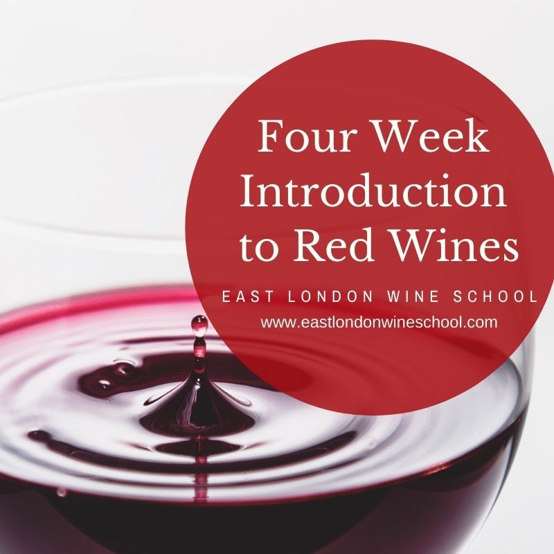 Four Week Introduction to Red Wine   