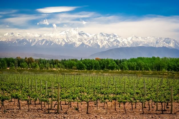 World of Wine: Discover South America!