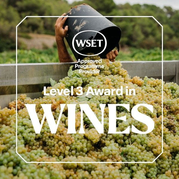 Qualification-tile WSET Level 3 Wines
