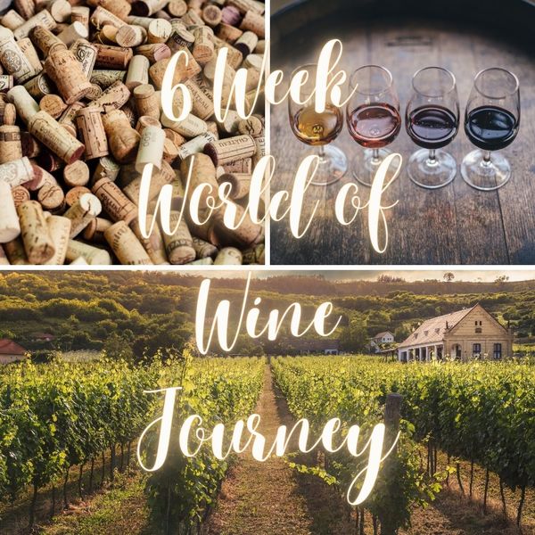 6 Week Course - World of Wine Journey            