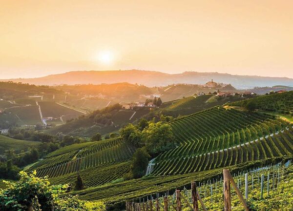  Wonderful World of Wine Course (8 weeks)         