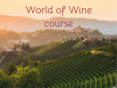  World of Wine Course      
