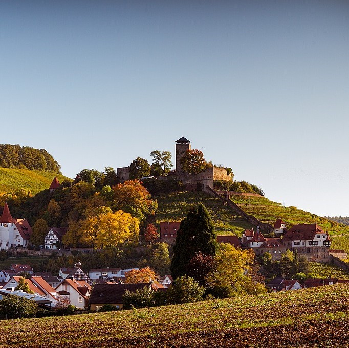 Rhône Valley Showcase with Rhône specialist Linda Field