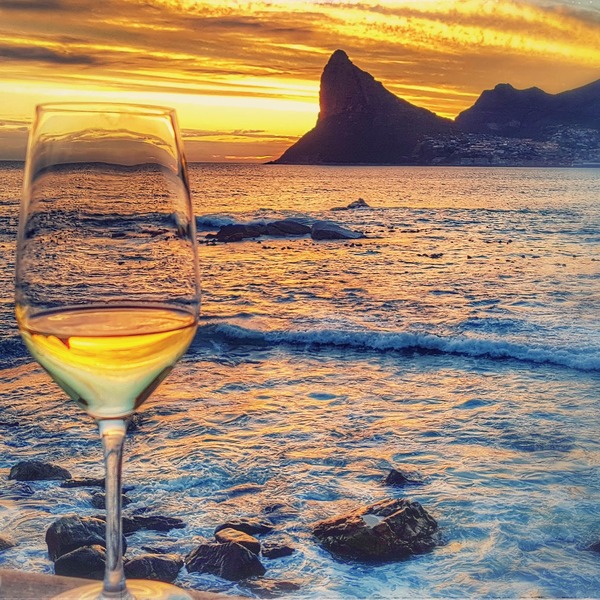 4 Week New World Tour of Wine