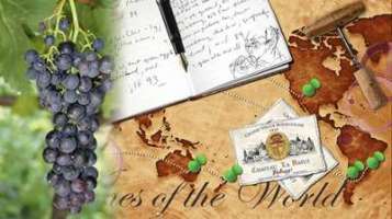 Red Wines of the World
