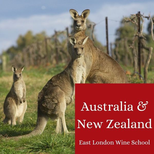 Wines of Australia and New Zealand