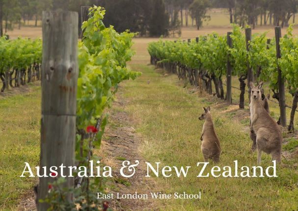 Wines of Australia and New Zealand