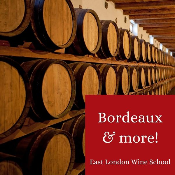 Bordeaux and More!