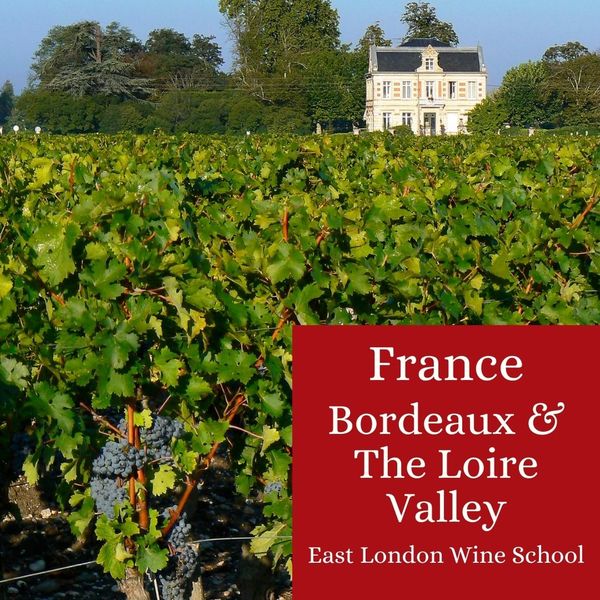 Wines of Bordeaux and Loire Valley