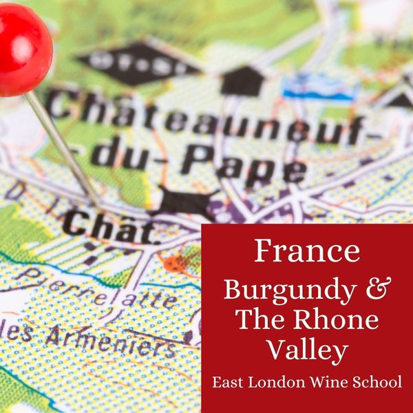 Wines of Burgundy and the Rhone Valley