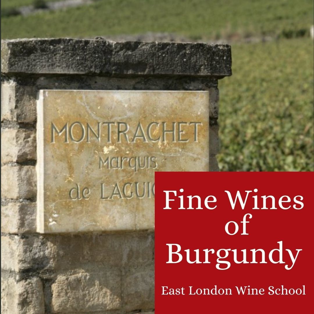 Wines from Burgundy