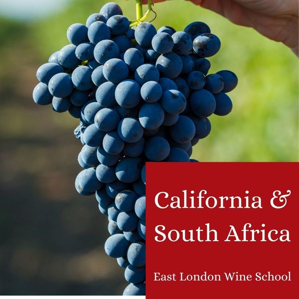 Wines of California and South Africa