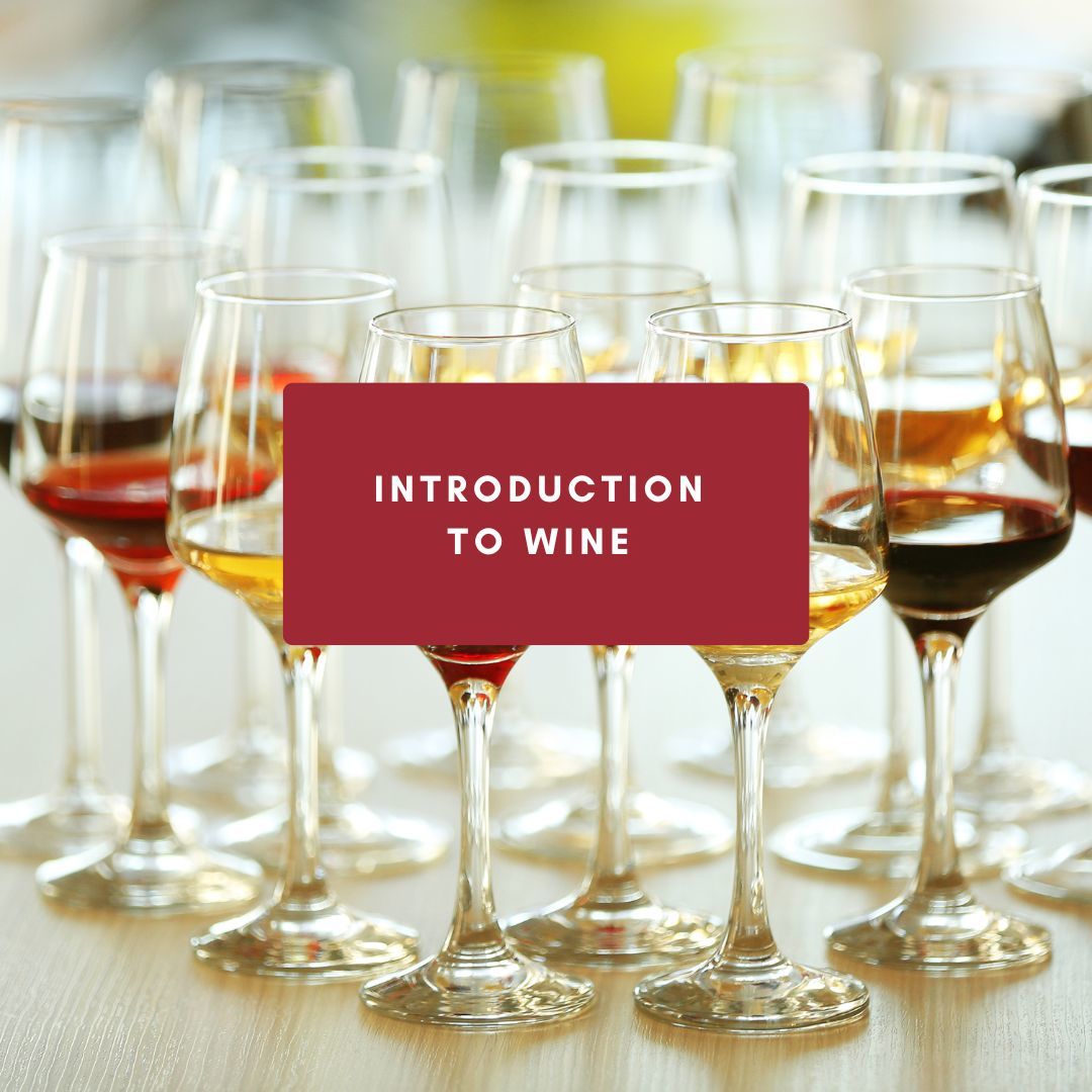 Introduction to Wine Evening