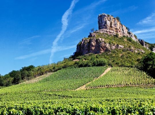World of Wine - Burgundy, Loire & Rhone
