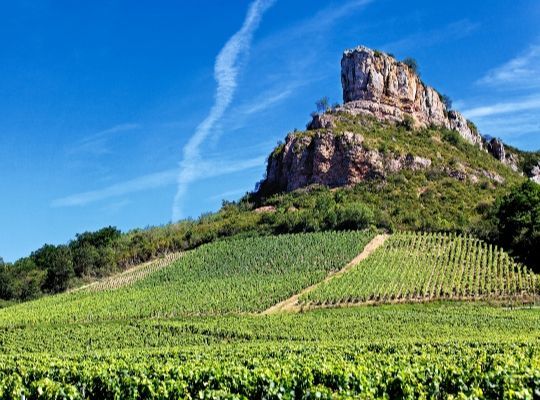 Tour de France Stage 1; Bordeaux & Burgundy