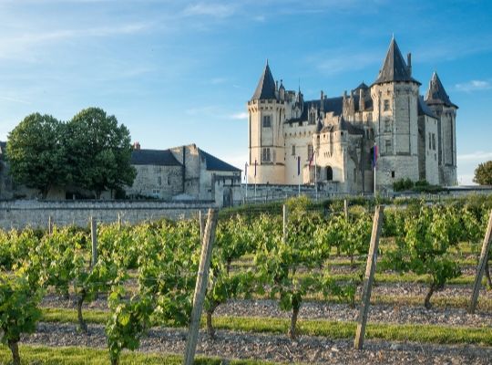 Tour de France Stage 2: The Loire, Rhône & Southern France